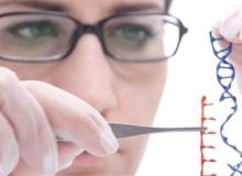 Prinses Beatrix Spierfonds start gentherapie onderzoeksprogramma voor spierziekten