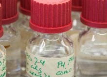 Mogelijke behandeling voor OPMD in celmodellen effectief