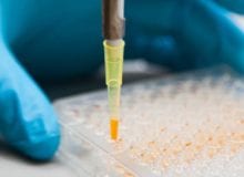 Nieuw ziektemechanisme ontdekt voor MuSK myasthenia gravis