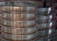 De ontwikkeling van een therapie voor ALS gericht op ataxine-2