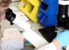 13 nieuwe aanvragen ingediend voor onderzoek naar een beter leven nu