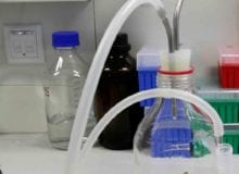 Ontwikkeling van een DUX4 remmer voor FSHD