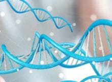 Gentherapie voor myotone dystrofie