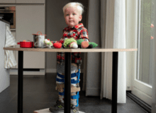 Het verhaal van Mees