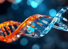 Gentherapie voor myotone dystrofie vereist meer dan correctie DNA