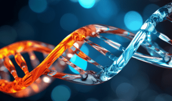 Gentherapie voor myotone dystrofie vereist meer dan correctie DNA