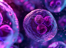 Grote stappen richting ons belangrijkste doel: jaarverslag 2024