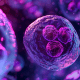 CAR-T-celtherapie voor myositis en myasthenia gravis