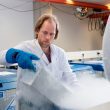 Onderzoeker in het laboratorium voor spierziekten