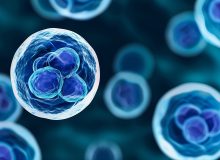 Eerste patiënt met zeldzame spierziekte behandeld met eigen stamcellen