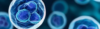 De rol van complement in immuun-gemedieerde neuropathieën