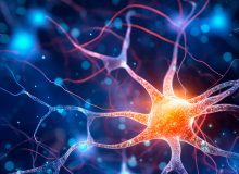Magnetische hersenstimulatie als pijnbehandeling bij dunnevezelneuropathie