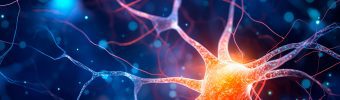 Belangrijke rol voor cholesterol in ziektebeloop HMSN