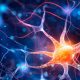 Op zoek naar een therapie voor hersenproblemen bij myotone dystrofie