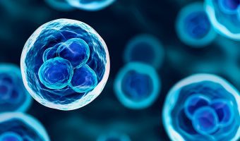 Nieuw onderzoek naar mogelijke behandeling dystroglycanopathieën
