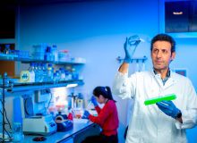 Weer een stap verder op weg naar gentherapie voor Duchenne