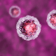 Spierstamceltherapie voor mitochondriële myopathie